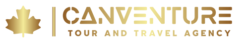 Color logo no background